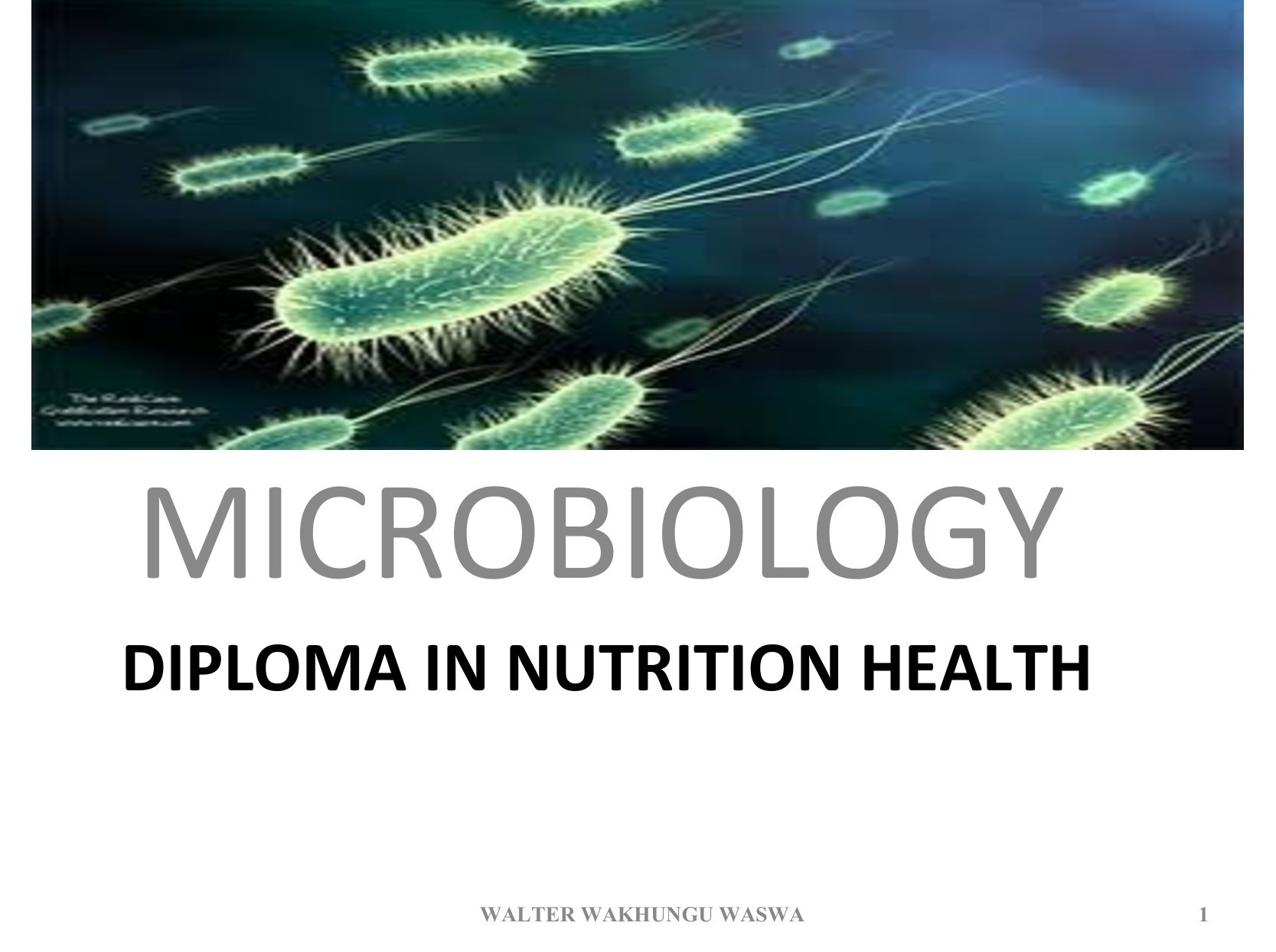 No preview available